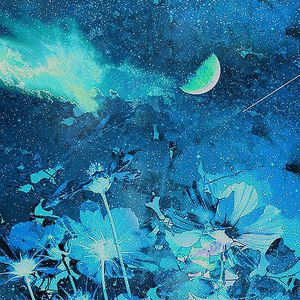 秘密花园NBA免费下载安装
