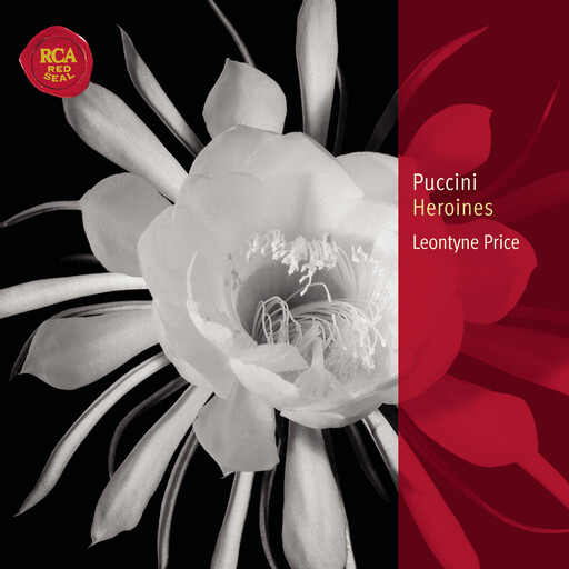 秘密花园NBA免费下载安装
