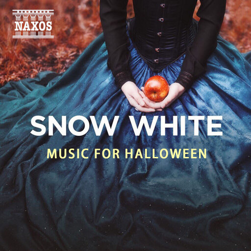 秘密花园NBA免费下载安装
